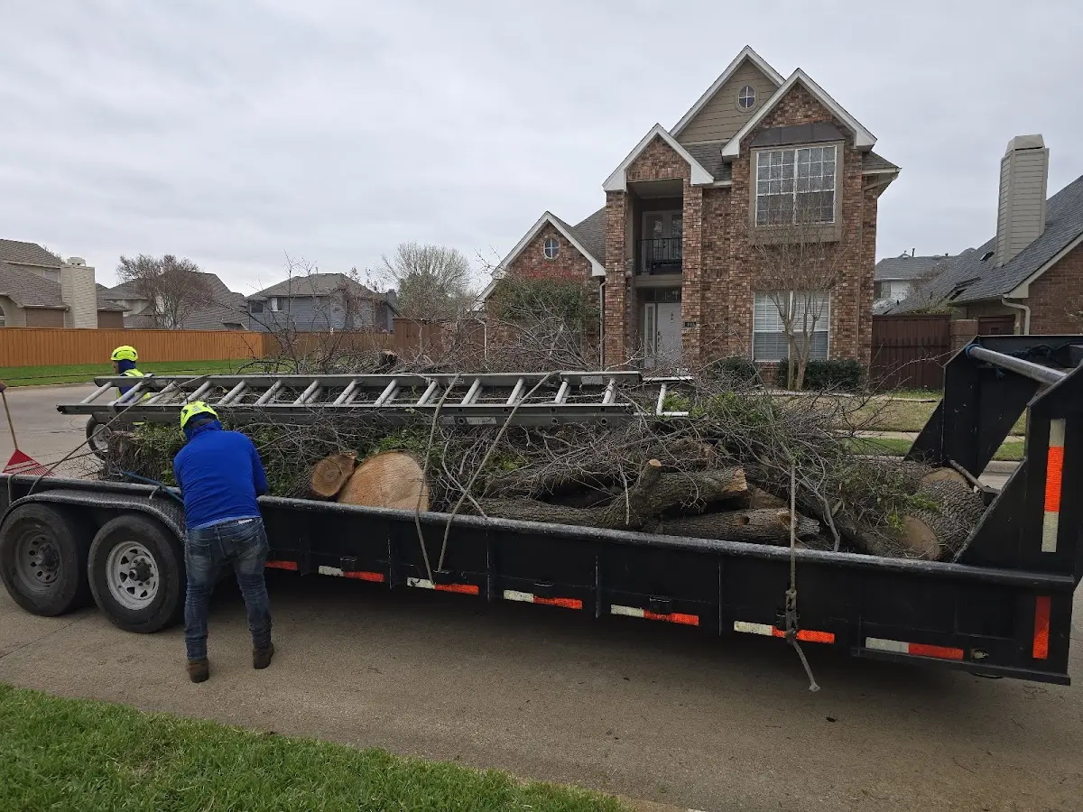 Expert Tree Removal with proper safety equipment in Saint Clair Shores